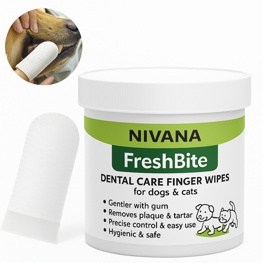 FreshBite