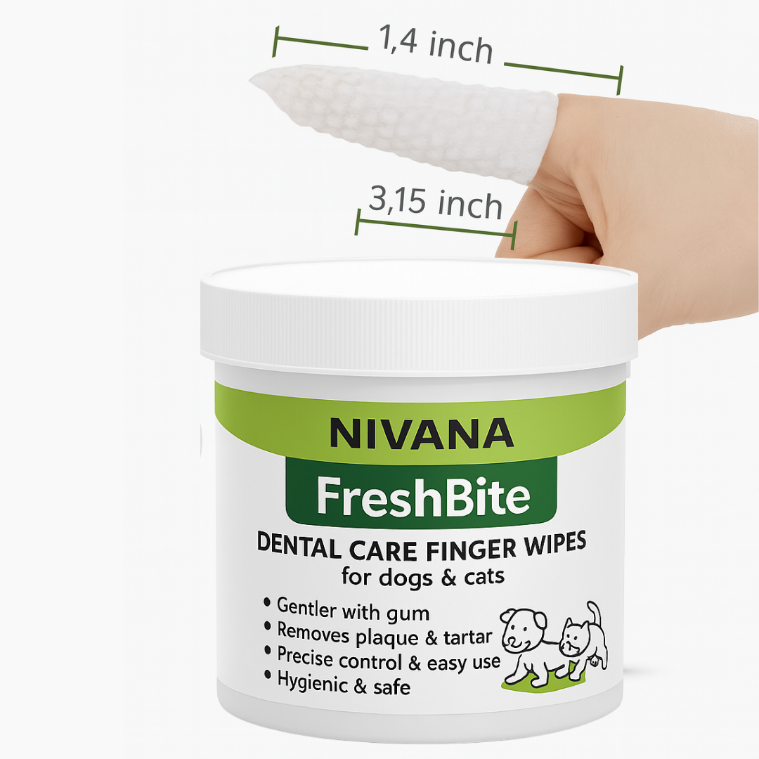 FreshBite